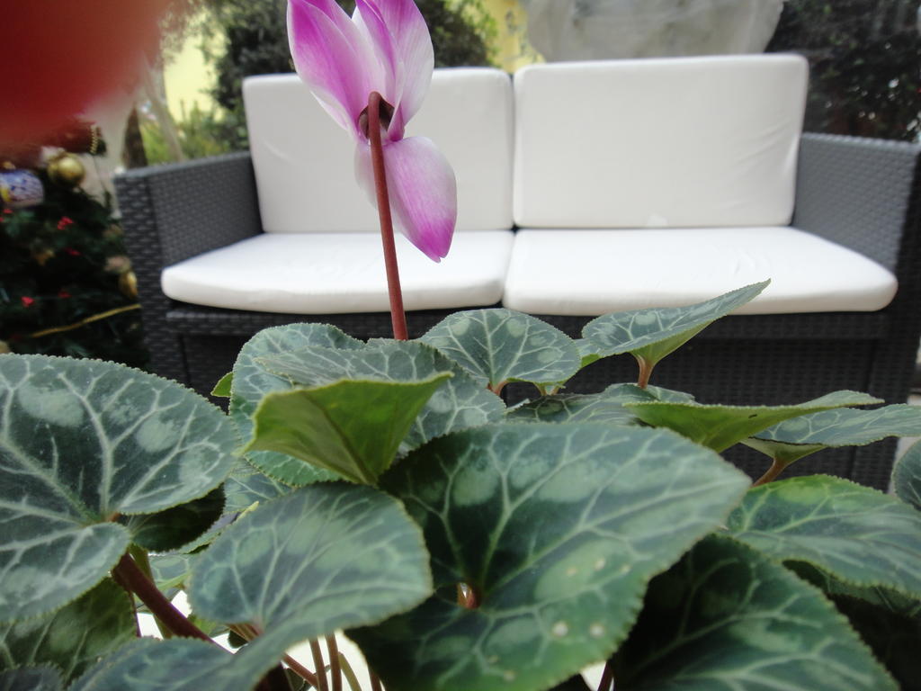 Residenza Cieloterra Guest House Rivotorto Ngoại thất bức ảnh