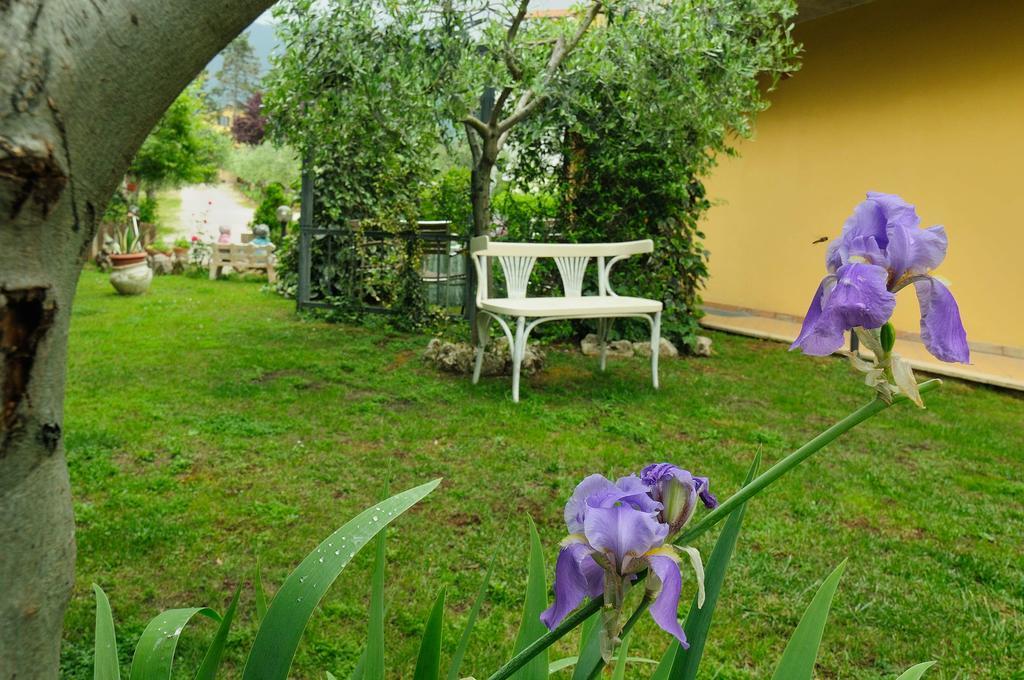 Residenza Cieloterra Guest House Rivotorto Ngoại thất bức ảnh